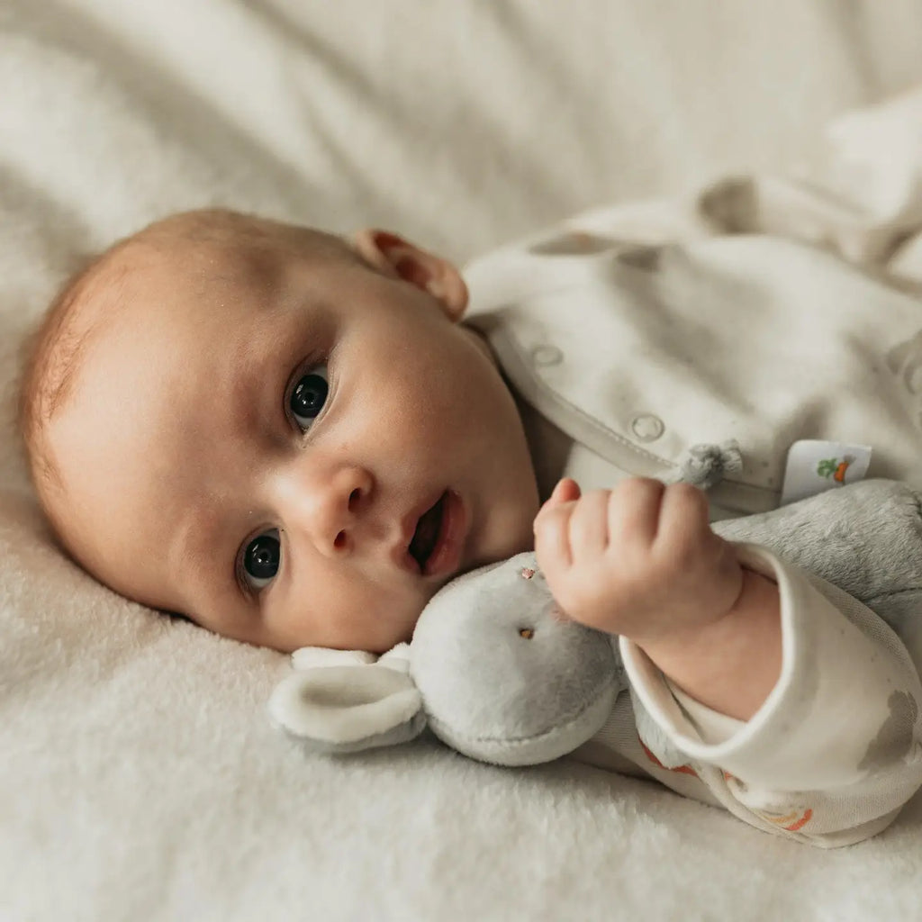 Friendly Chime Bunny Rattle in Gray