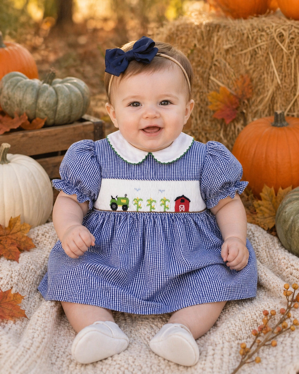 Down On The Farm Hand Smocked Dress