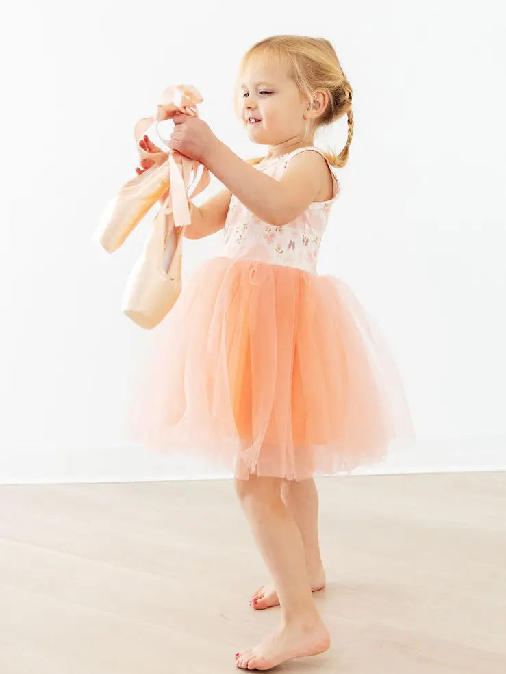 Ballet Dreams Tutu Dress